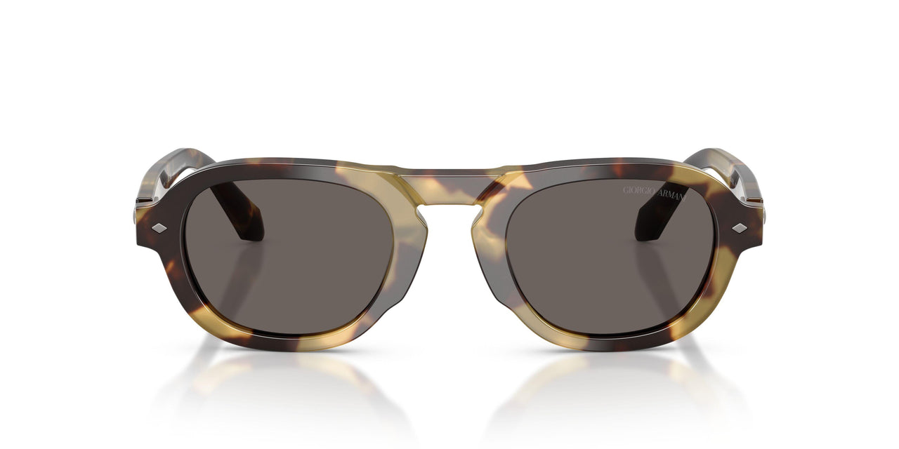 6301B1 - Tortoise - Dark Grey
