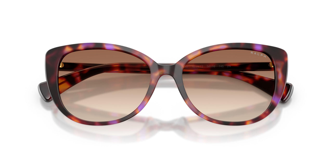 623913 - Violet - Gradient Brown