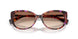 623913 - Violet - Gradient Brown