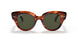 954/31 - Havana - Green