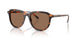 613773 - Tortoise - Dark Brown