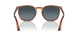 96/S3 - Brown - Gradient Blue Polar