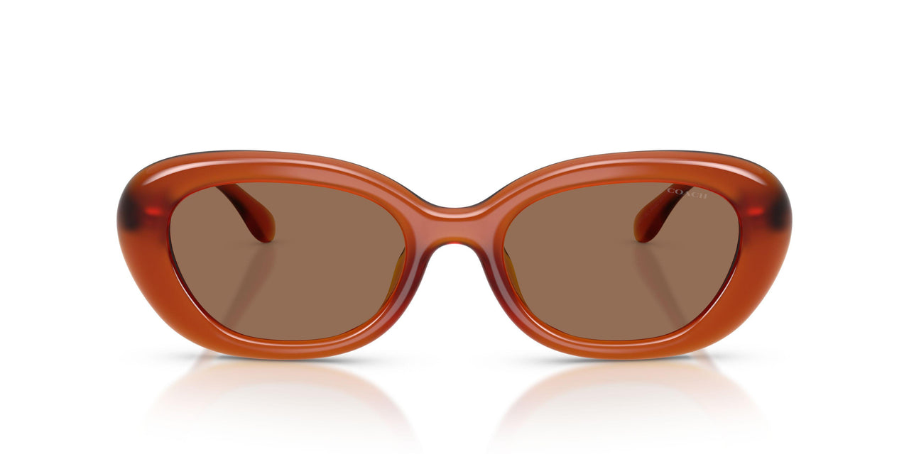 593073 - Orange - Wine Solid