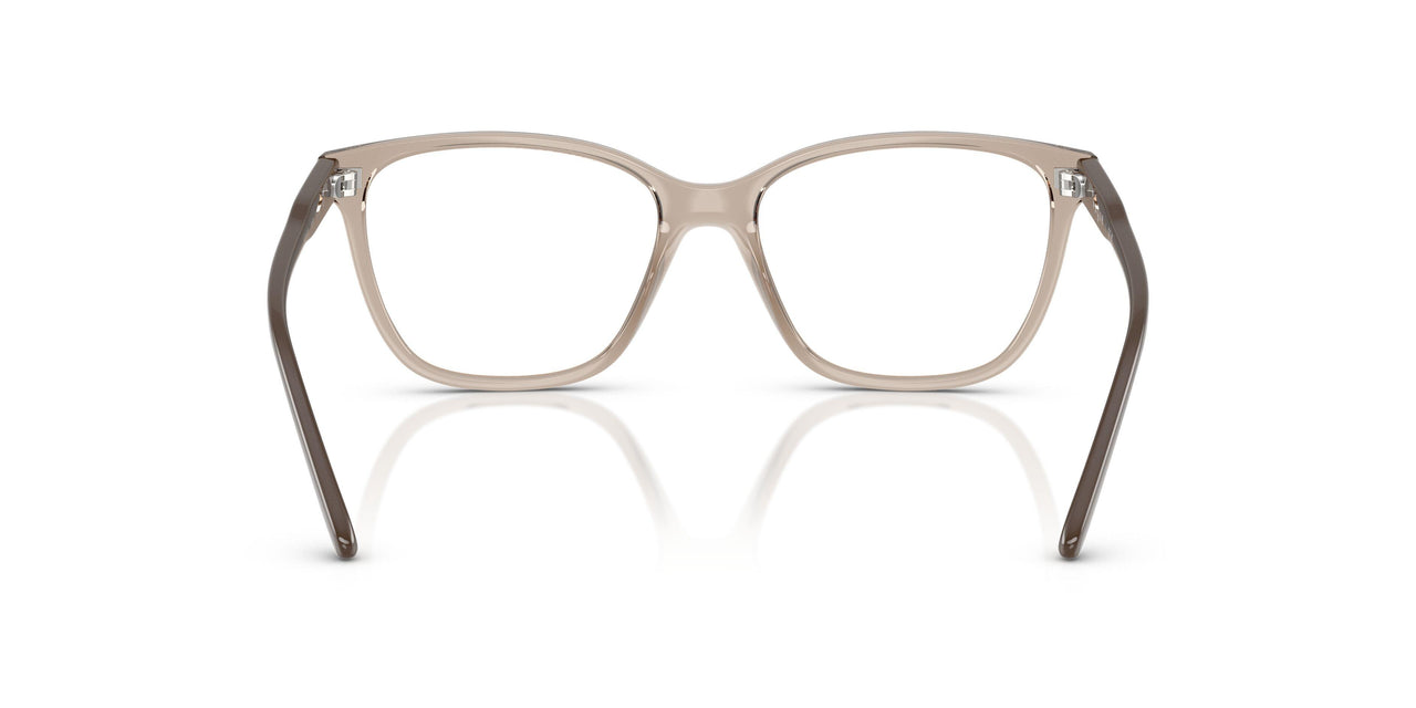3181 - Brown