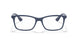 5450 - Blue - Clear