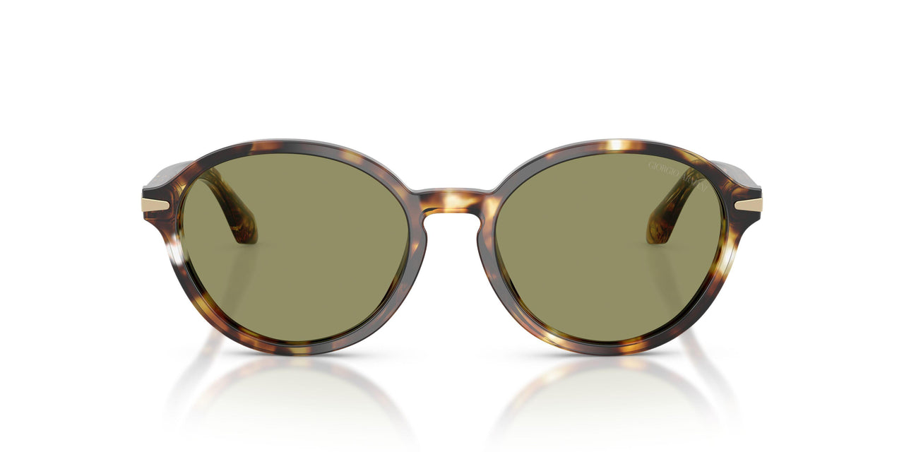 623214 - Tortoise - Green