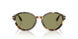 623214 - Tortoise - Green