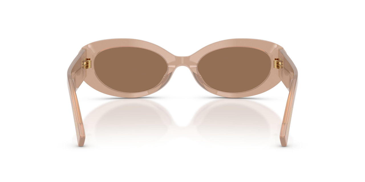 304273 - Brown - Dark Brown