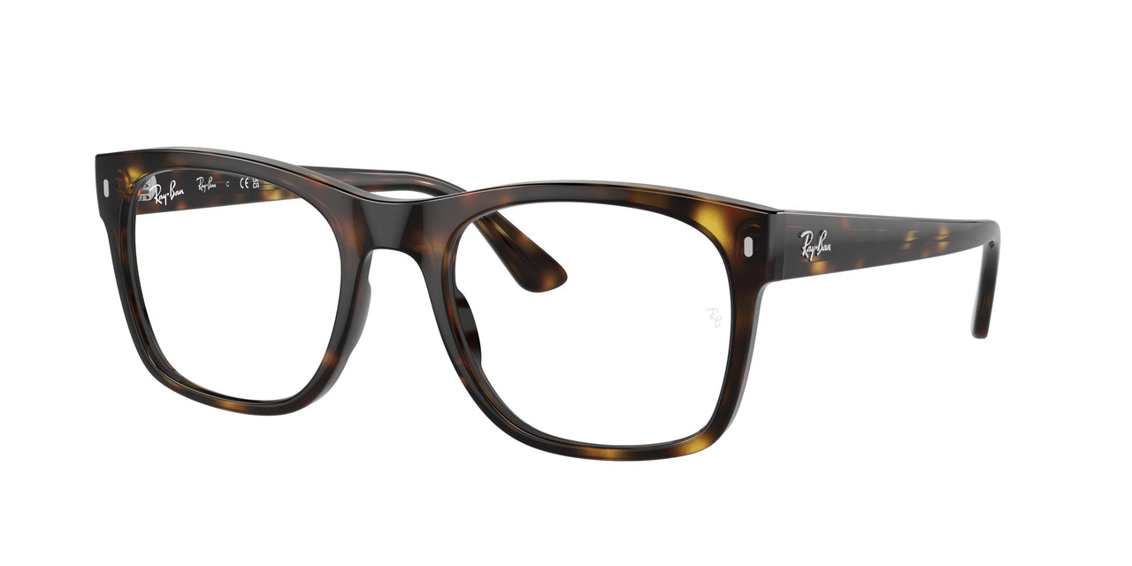 Ray-Ban 7228 Eyeglasses