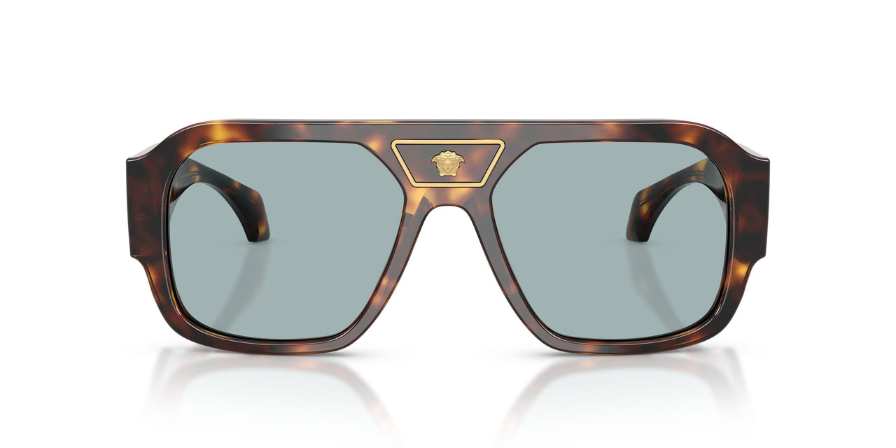 553780 - Tortoise - Blue