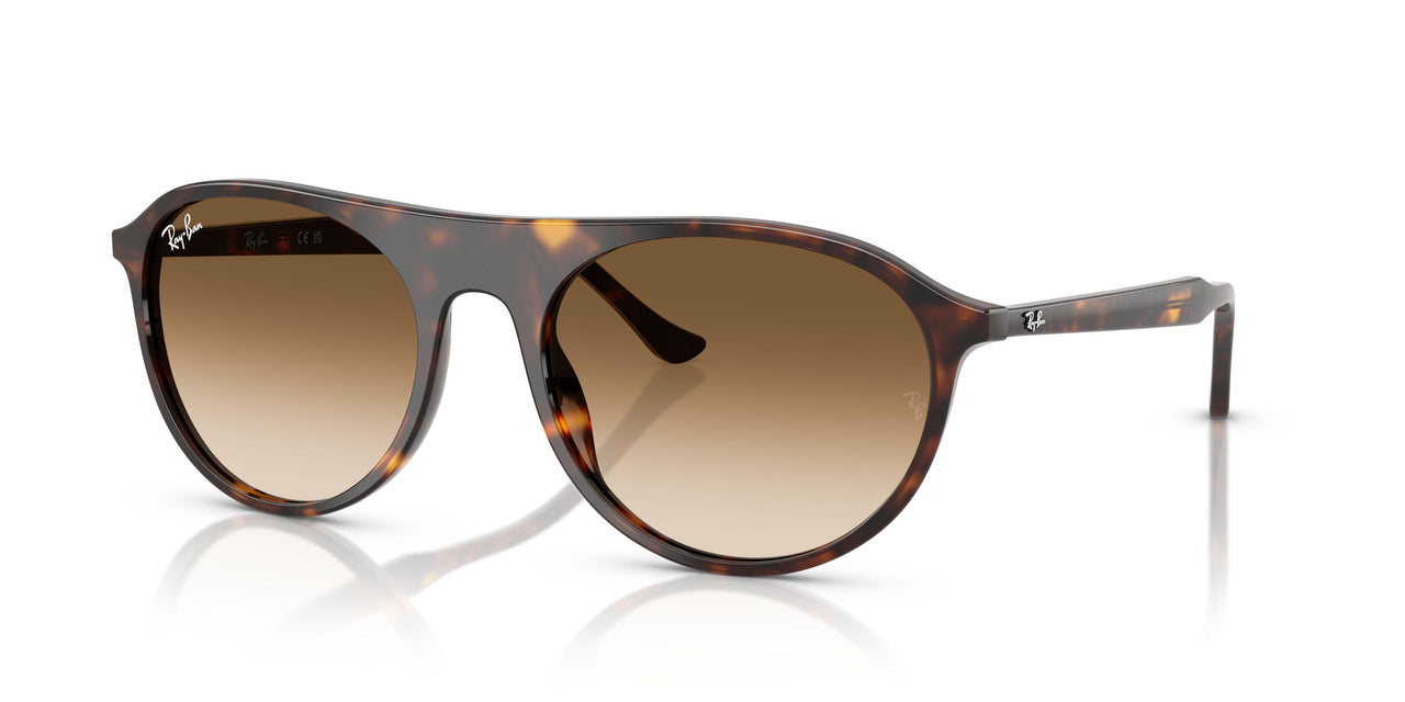 902/51 - Tortoise - Clear Gradient Brown