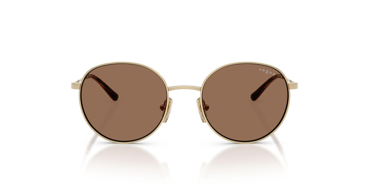 848/73 - Gold - Dark Brown