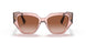 282813 - Pink - Brown Gradient