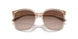 315113 - Brown - Brown Gradient
