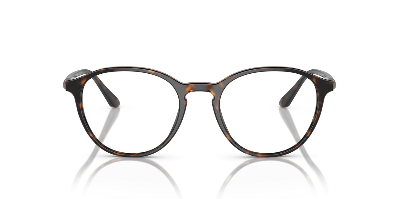 5026 - Tortoise
