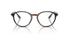 5026 - Tortoise