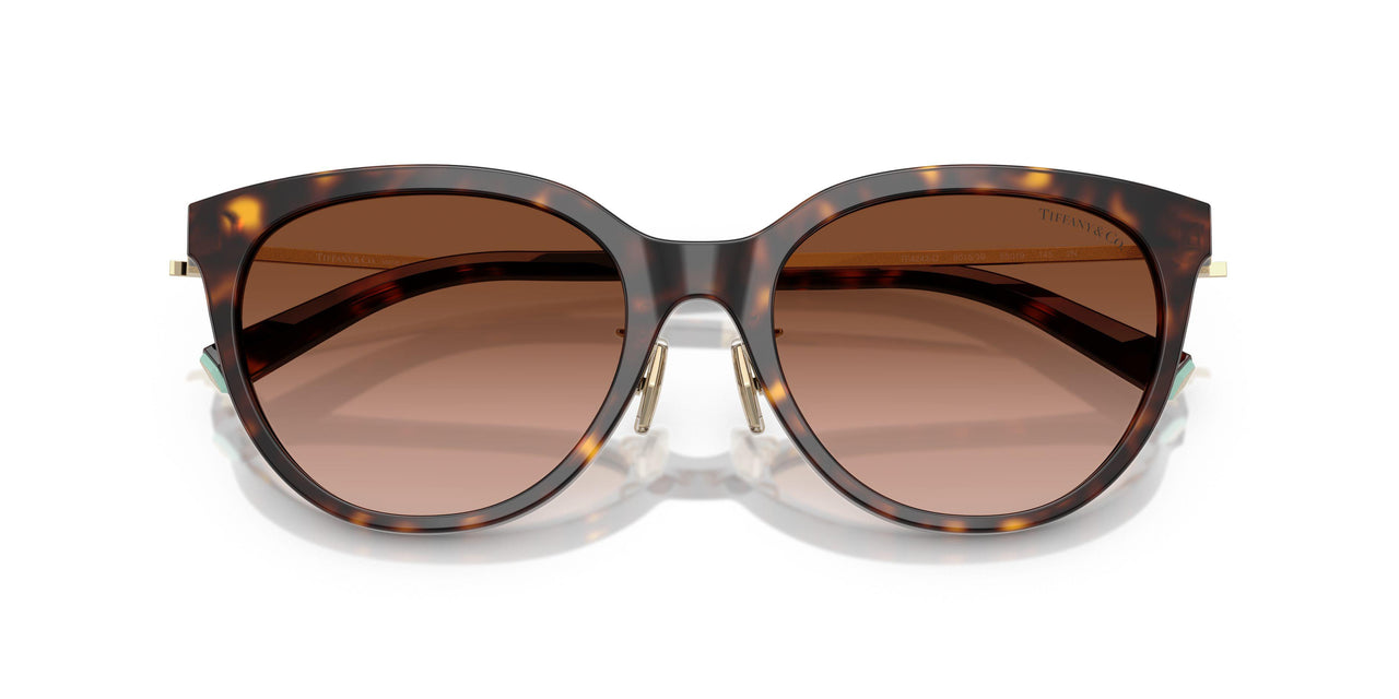 80153B - Tortoise - Brown Gradient