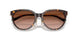 80153B - Tortoise - Brown Gradient