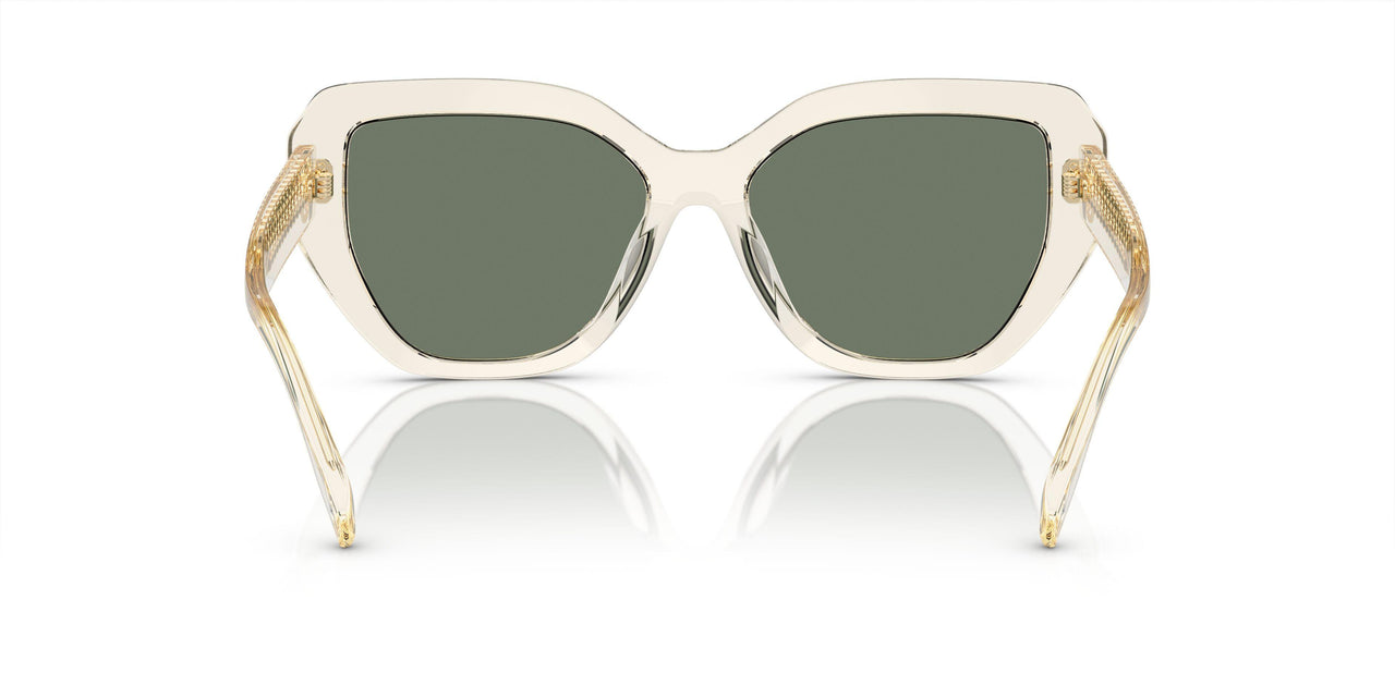 19523H - Transparent - Dark Green