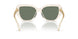 19523H - Transparent - Dark Green
