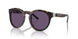 50031A - Tortoise - Purple