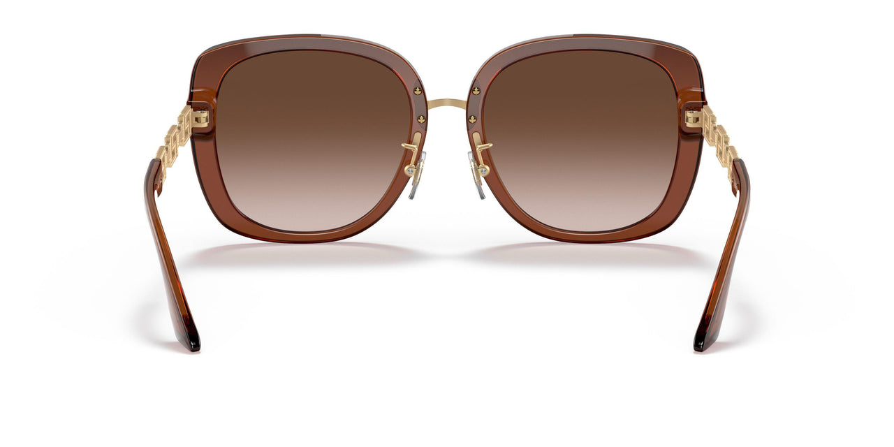 532413 - Brown - Brown Gradient