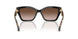 300513 - Black - Brown Gradient