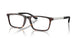 5026 - Tortoise