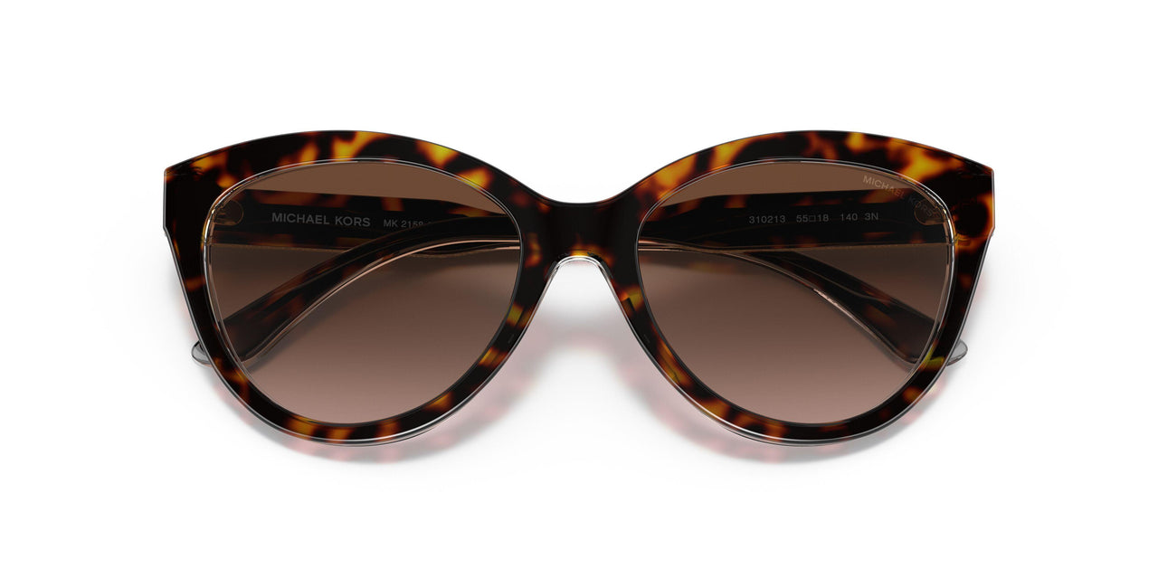 310213 - Havana - Brown Gradient