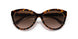 310213 - Havana - Brown Gradient