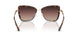 4031E2 - Tortoise - Brown Gradient