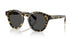 177887 - Tortoise - Grey