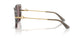 34457N - Tortoise - Purpe Brown