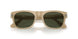 116931 - Brown - Green