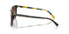 500313 - Tortoise - Gradient Dark Brown
