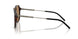 3002M4 - Tortoise - Brown Solid