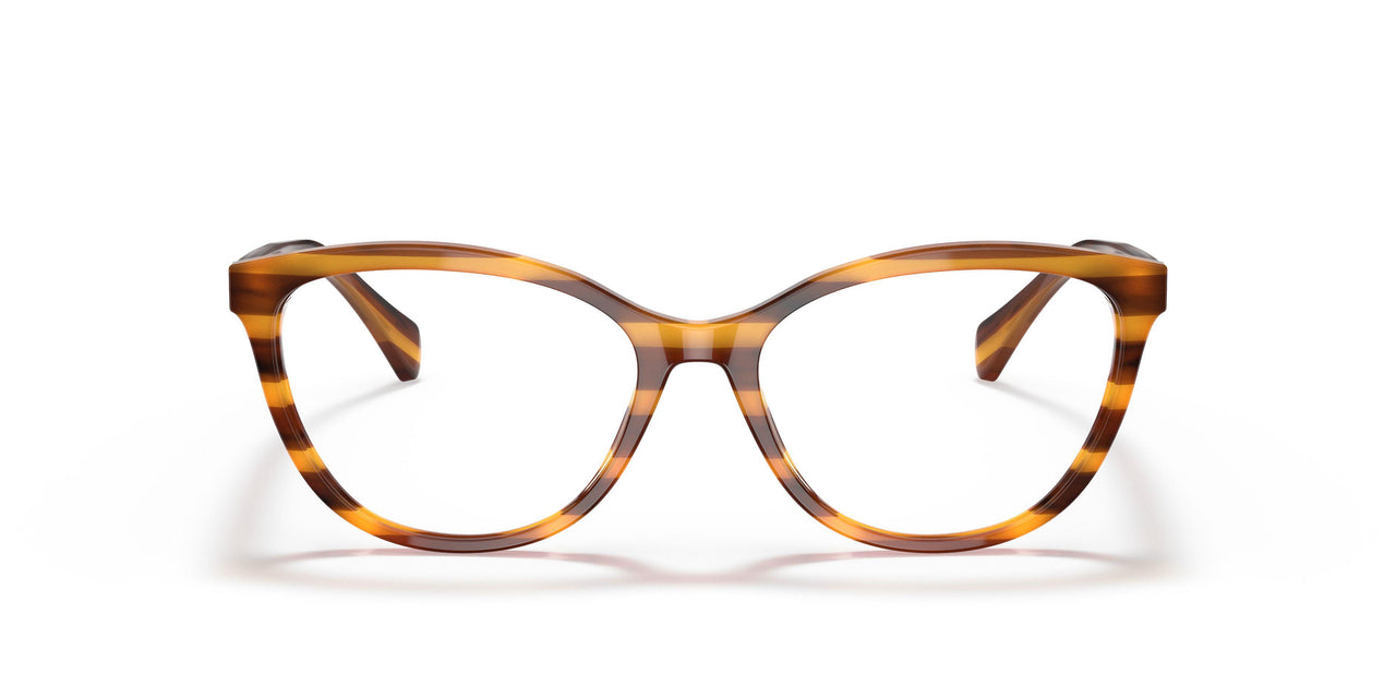 5988 - Tortoise