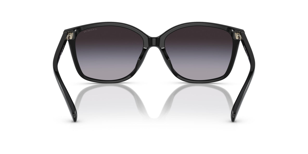 50028G - Black - Grey Gradient