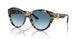 500419 - Tortoise - Gradient Blue