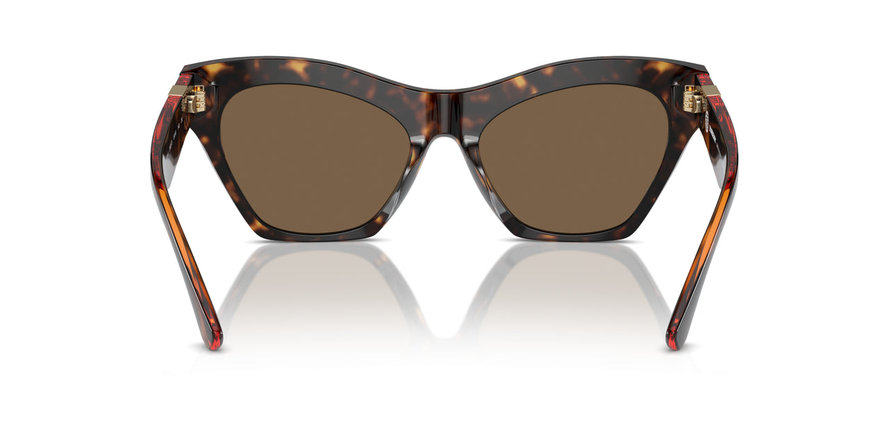 300273 - Brown - Dark Brown