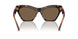 300273 - Brown - Dark Brown