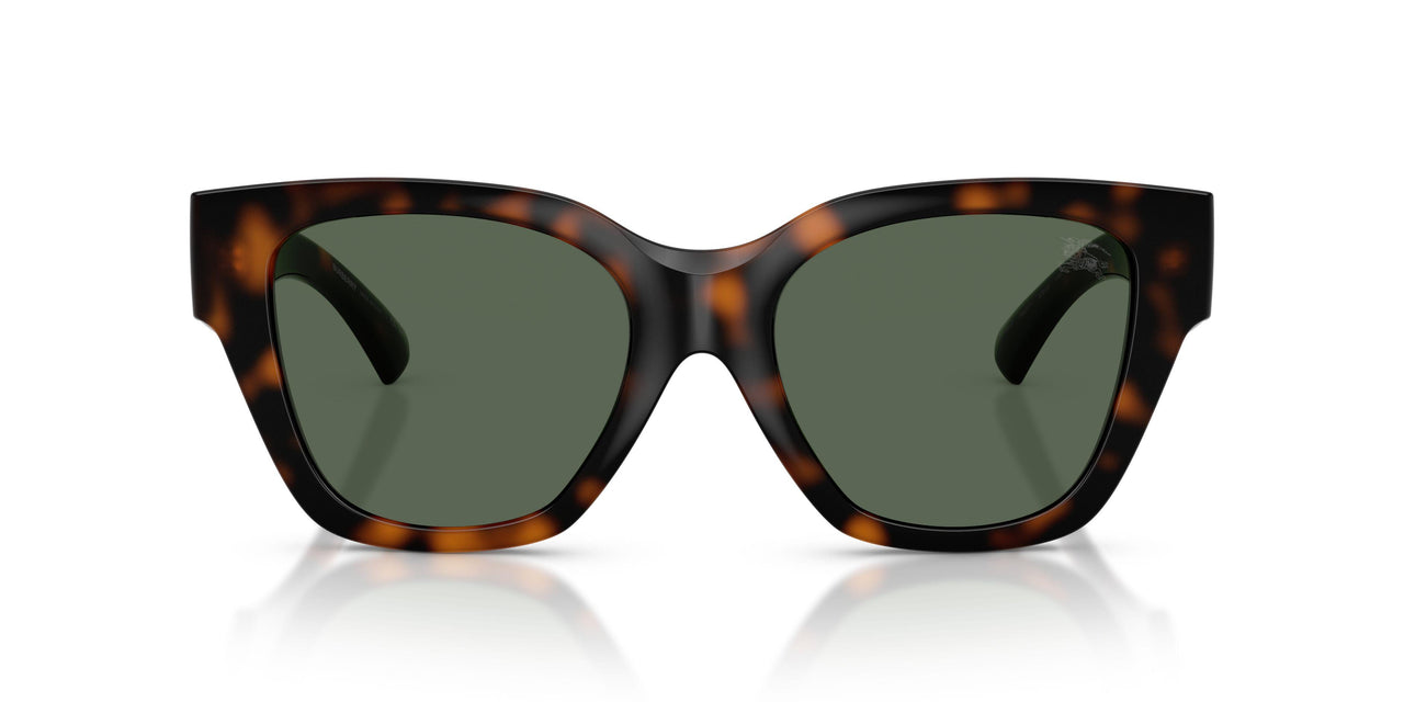 300271 - Brown - Dark Green