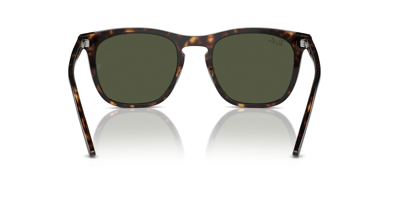 902/31 - Tortoise - Green