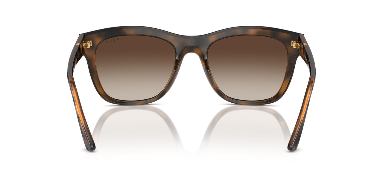 238613 - Brown - Brown Gradient