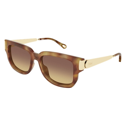 002 - Havana/Gold - Brown