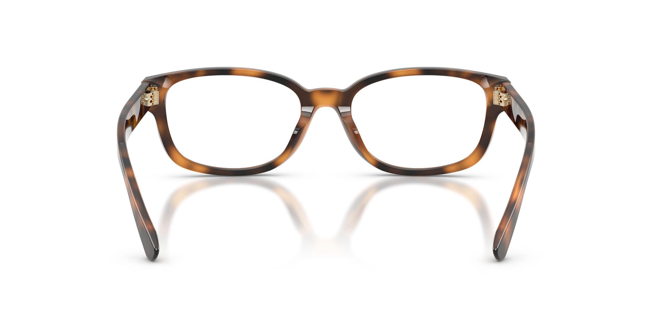 6089 - Tortoise