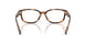 6089 - Tortoise