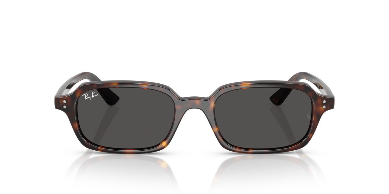 135987 - Tortoise - Dark Grey