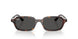 135987 - Tortoise - Dark Grey