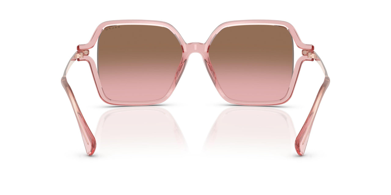 580114 - Pink - Pink Gradient Brown